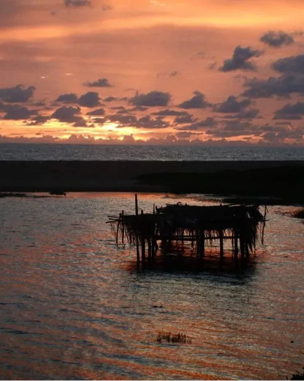 campamento-tortuguero-la-gloria-el-chorro-tomatlan